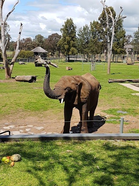Parc zoologique Taronga Western Plains Zoo